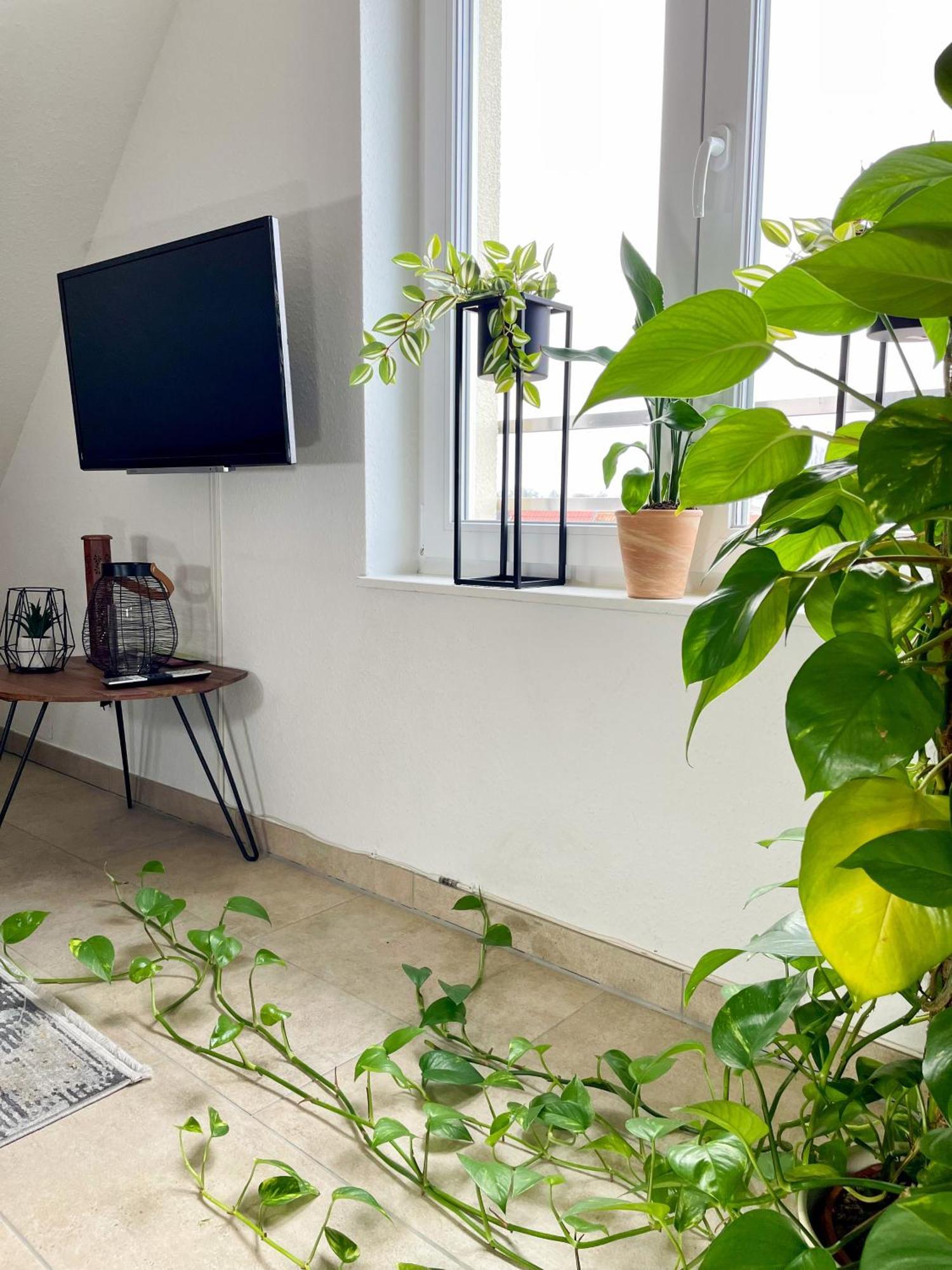 Ahaus: Stadtoase Mit Terrasse & Privater Garage Eksteriør bilde